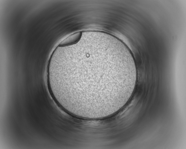 X0000095961387200802011113