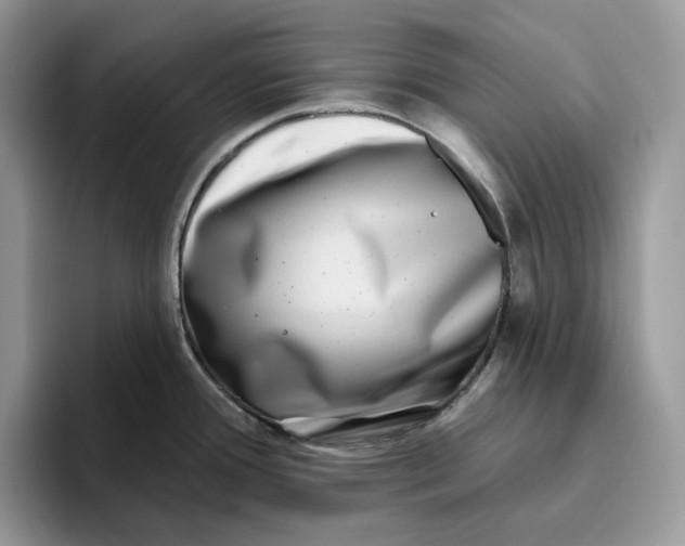 X0000095961388200802011113