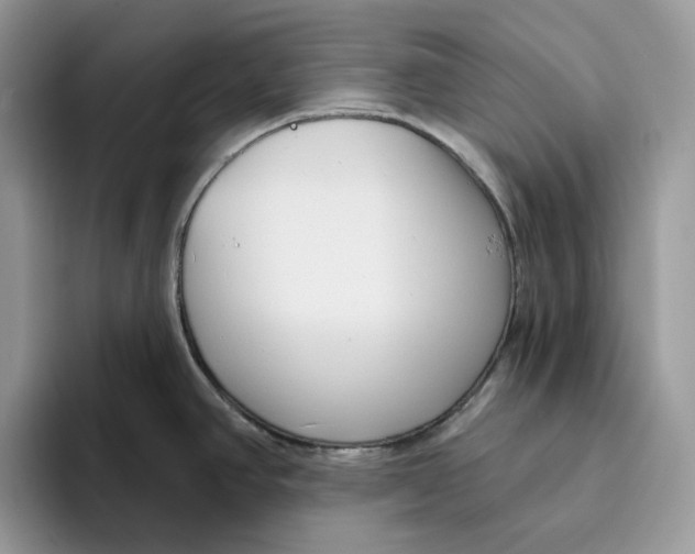 X0000095961390200802011113