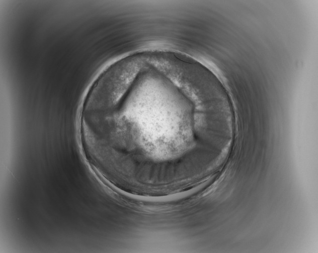 X0000095961392200802011113