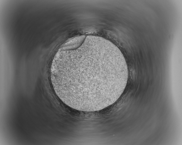 X0000095961393200802011112