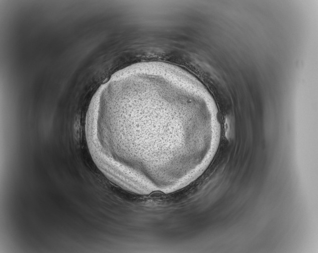 X0000095961395200802011112