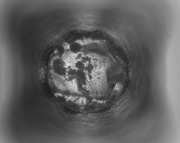 X0000095961397200802011112