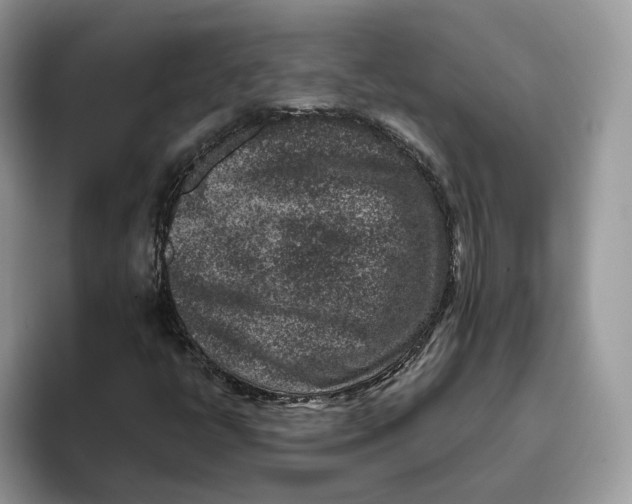 X0000095961398200802011112