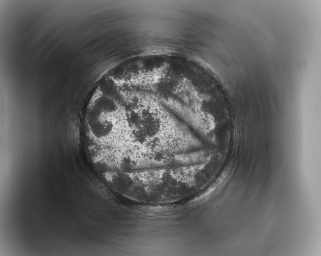 X0000095961401200802011112