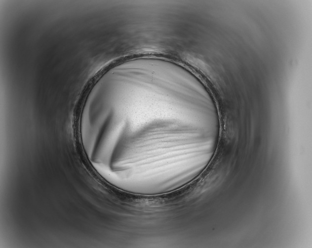 X0000095961404200802011112