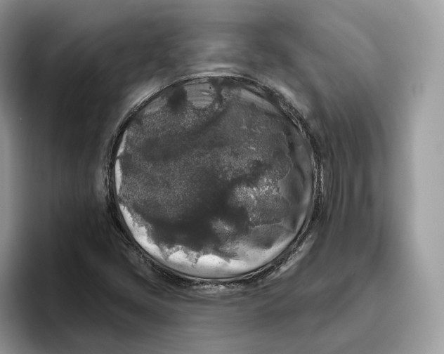 X0000095961405200802011112