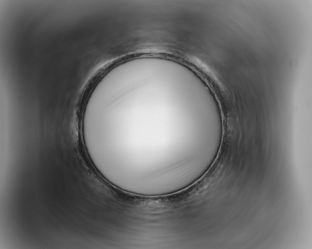 X0000095961408200802011112