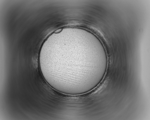 X0000095961409200802011113