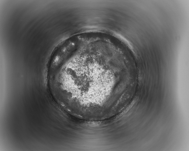 X0000095961411200802011113