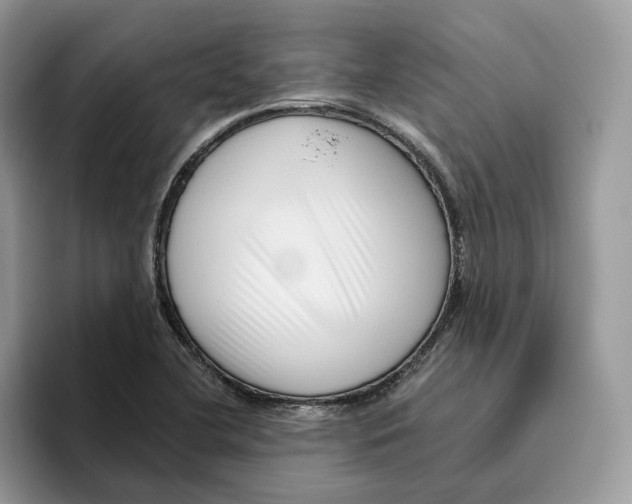 X0000095961412200802011113