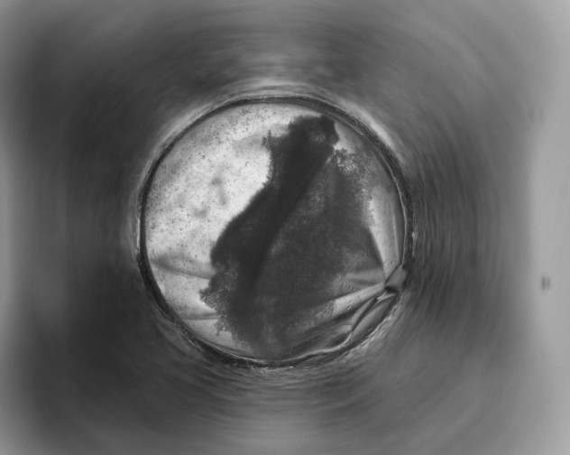 X0000095961413200802011113