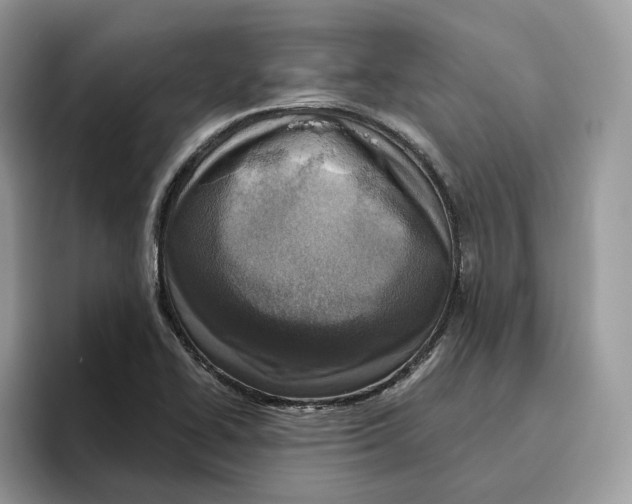 X0000095961414200802011113