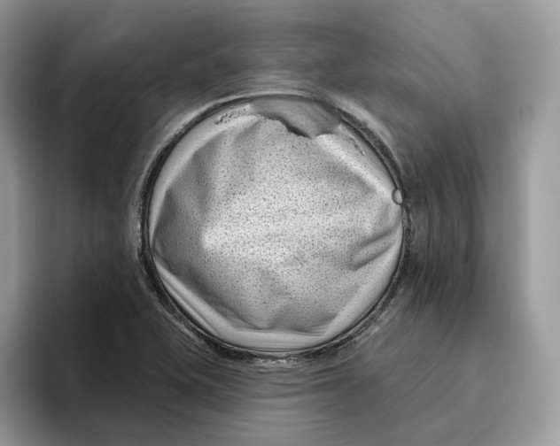 X0000095961415200802011113