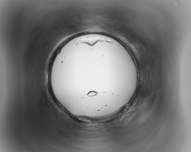 X0000095961416200802011113