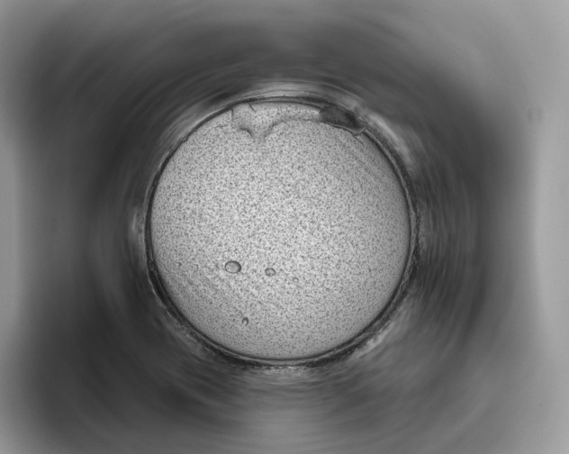 X0000095961417200802011113