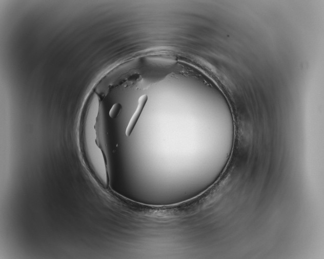 X0000095961418200802011113