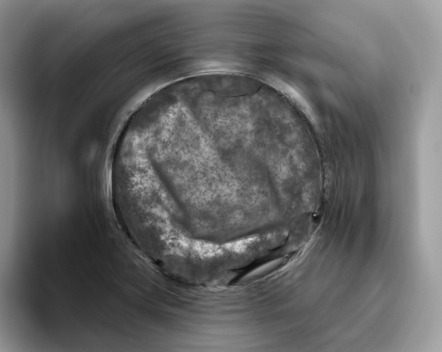 X0000095961419200802011113