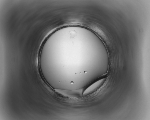 X0000095961420200802011113