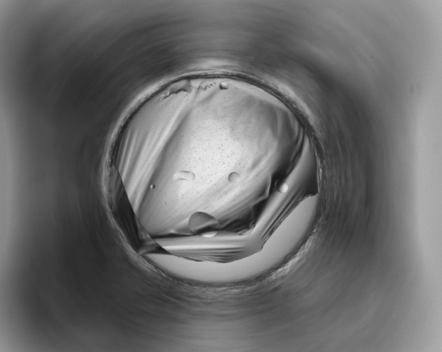 X0000095961421200802011113