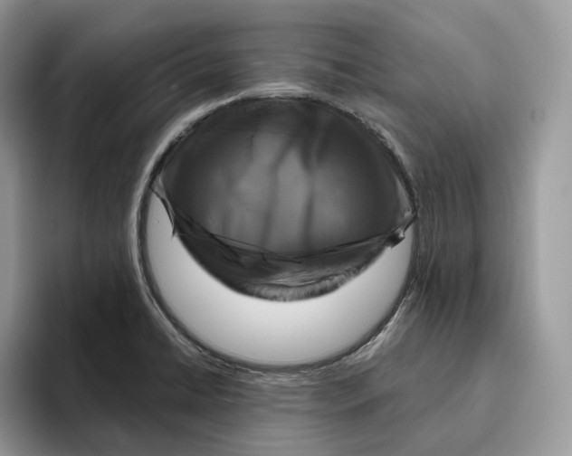 X0000095961422200802011113