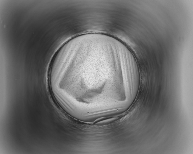 X0000095961423200802011113