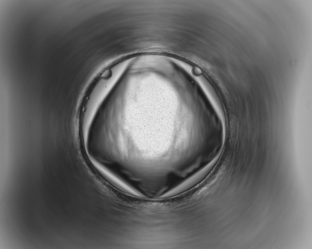 X0000095961424200802011113