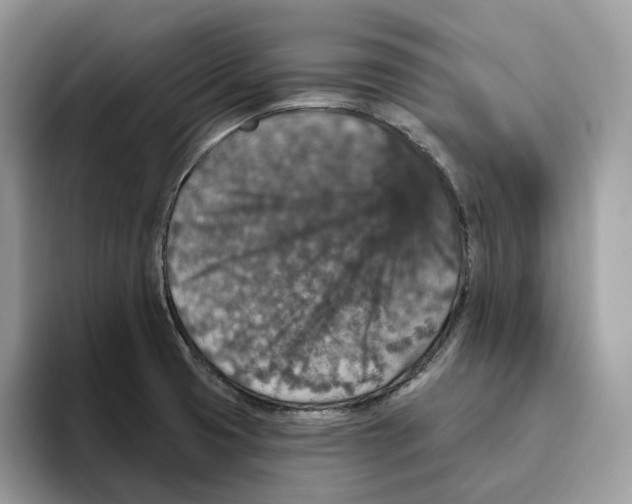 X0000095961425200802011113