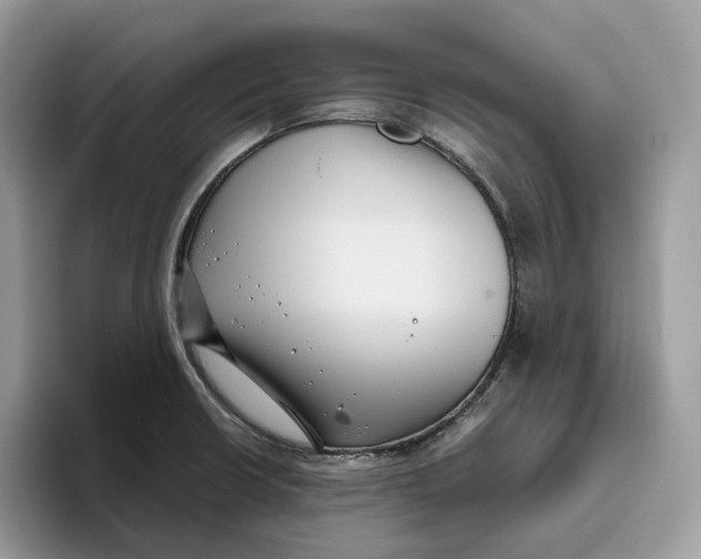 X0000095961426200802011113