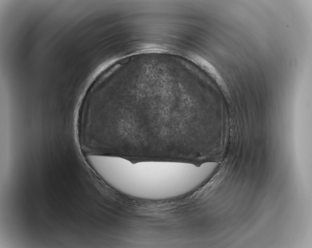 X0000095961427200802011113