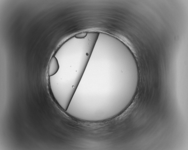 X0000095961428200802011113