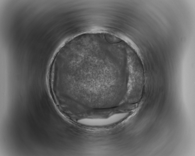 X0000095961429200802011113