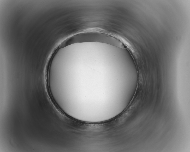 X0000095961430200802011113