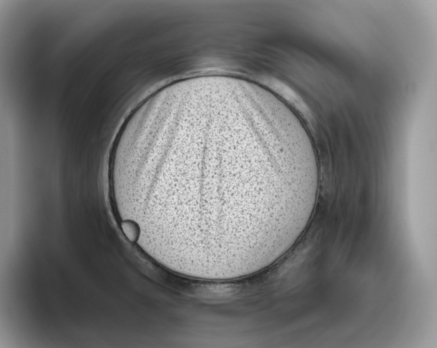 X0000095961431200802011113