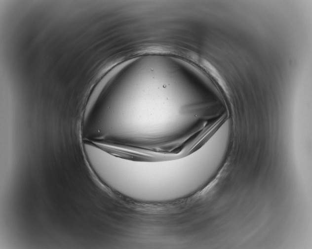 X0000095961433200802011113