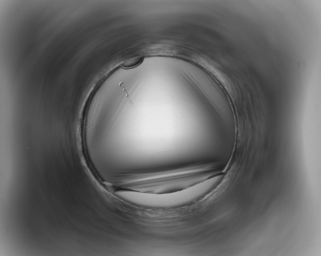 X0000095961434200802011113