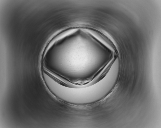 X0000095961437200802011113