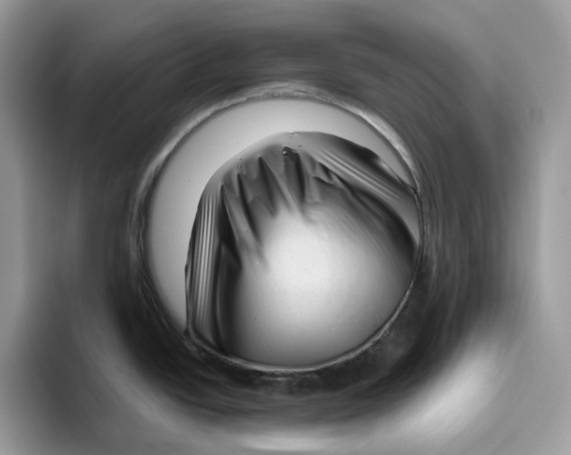 X0000095961438200802011113