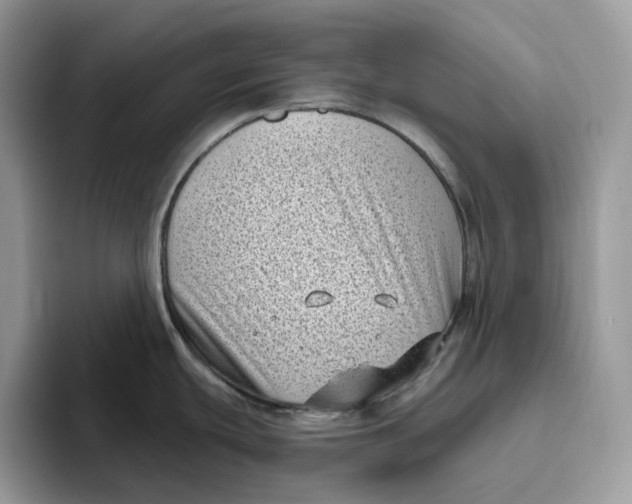 X0000095961439200802011113