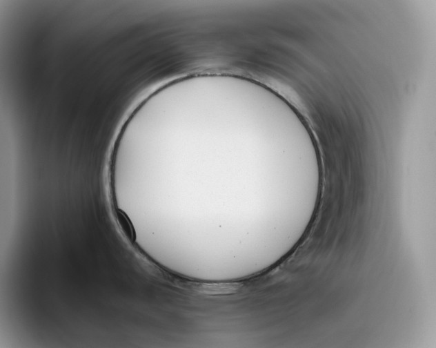 X0000095961440200802011113