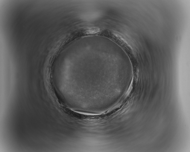 X0000095961441200802011112