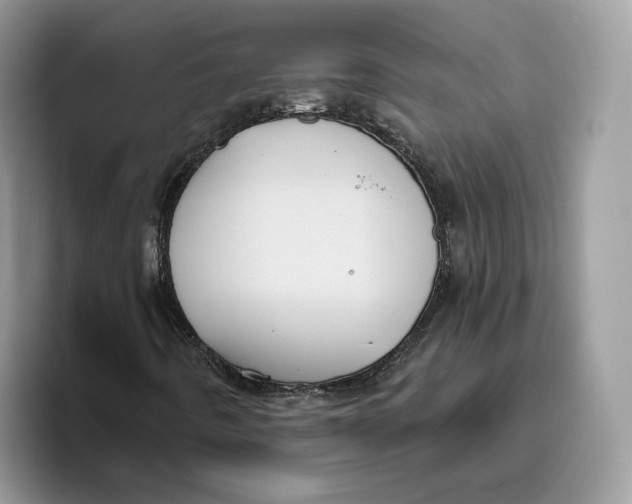 X0000095961442200802011112