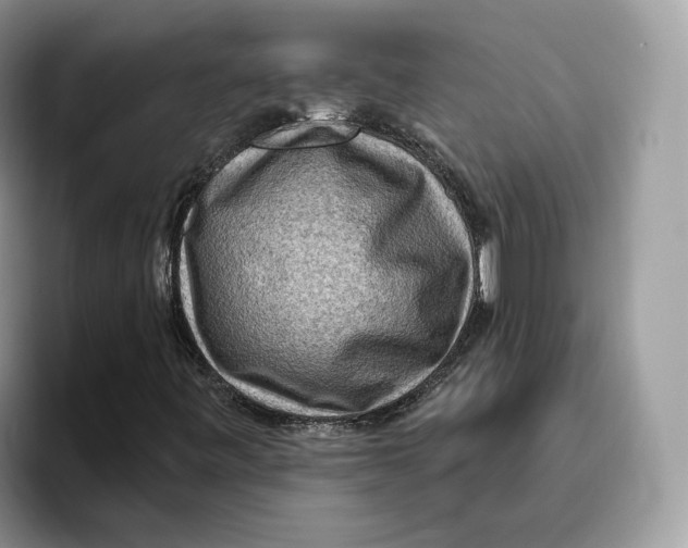 X0000095961443200802011112