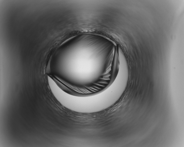 X0000095961444200802011112