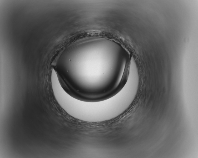 X0000095961445200802011112