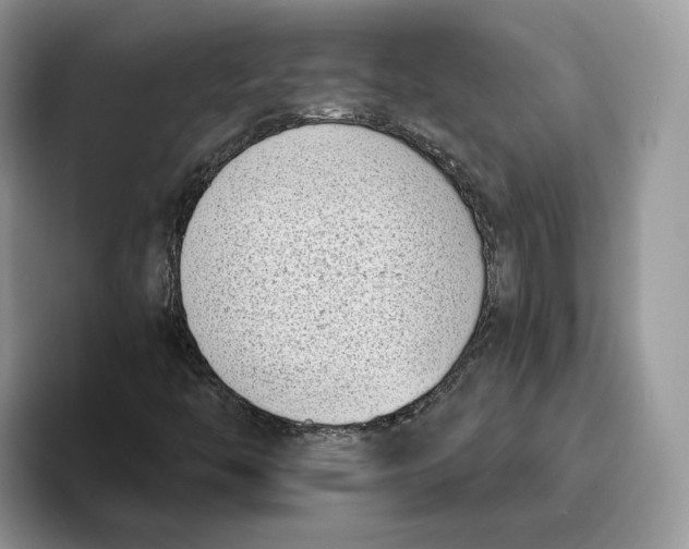 X0000095961446200802011112