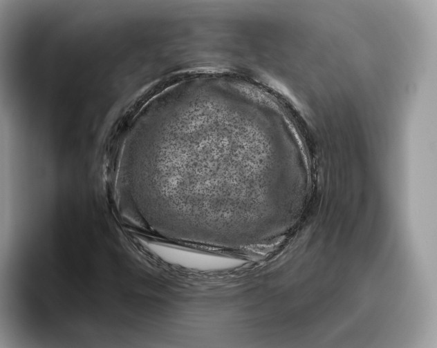 X0000095961448200802011112