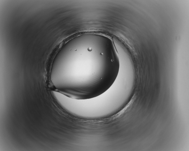 X0000095961449200802011112