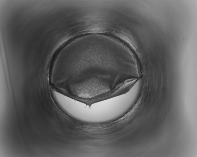 X0000095961450200802011112