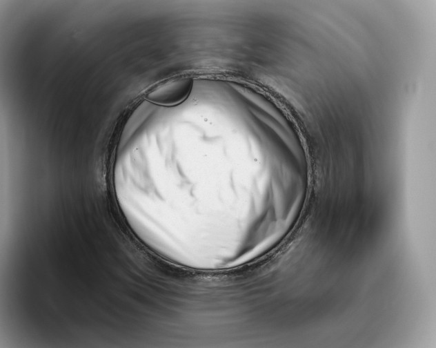 X0000095961451200802011112